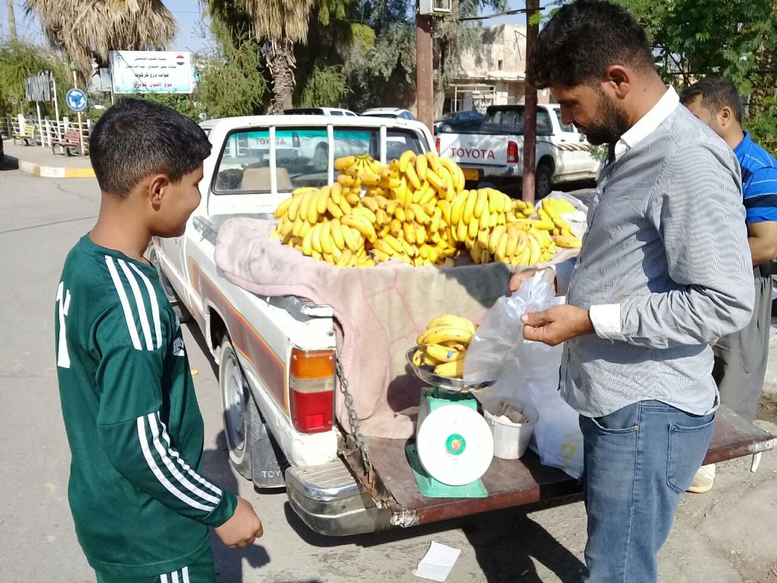 آلتون كوبري تأكل الموز من أربيل.. گوران يربح 100 دينار ويخسر دگة الميزان (صور)