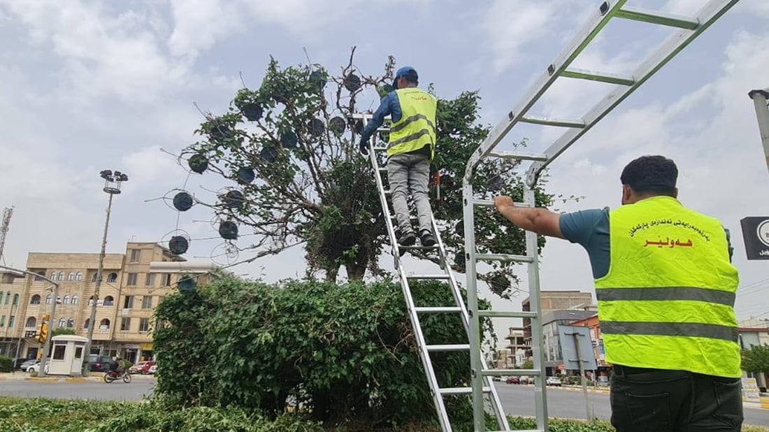 ئەو دار و درەختانەی شێوەی ئاژەڵ و باڵندە دەدەن رێکدەخرێنەوە