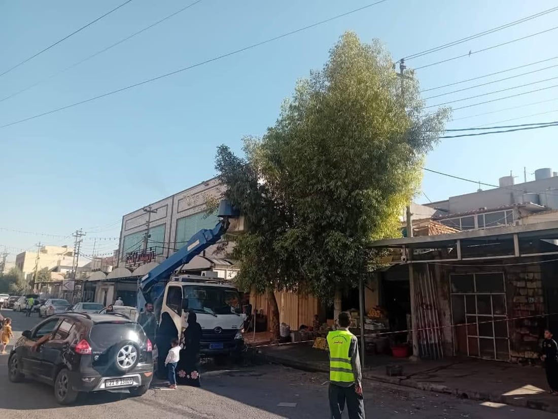 ئەندازەی پارکەکانی هەولێر: هەڵپاچینی درەختەکان بەئەنقەست نییە