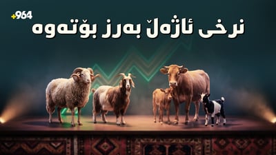 مەیدانی حاجیاوا جمەی دێت و نرخی ئاژەڵیش گران بووە