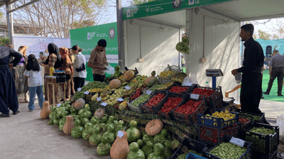 هەتابەرهەمى هاوینە بمێنێت هەفتەبازاڕى کشتوکاڵ بەردەوام دەبێت