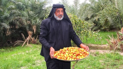 صور تشم رائحتها.. كل أنواع النبك توفرت في سوق الشيوخ و”التفاحي” مطلوب