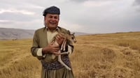 شاهد: غزال صغير جنوب أربيل كاد ينسحق تحت الحاصودة.. المز...