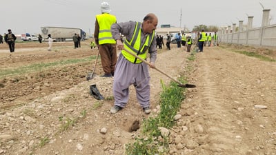 دارستانێک لەسەر رووبەرى 20 دۆنم دروست دەکرێت