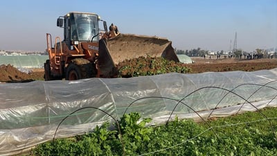 Erbil governorate launches campaign to close farms using contaminated water