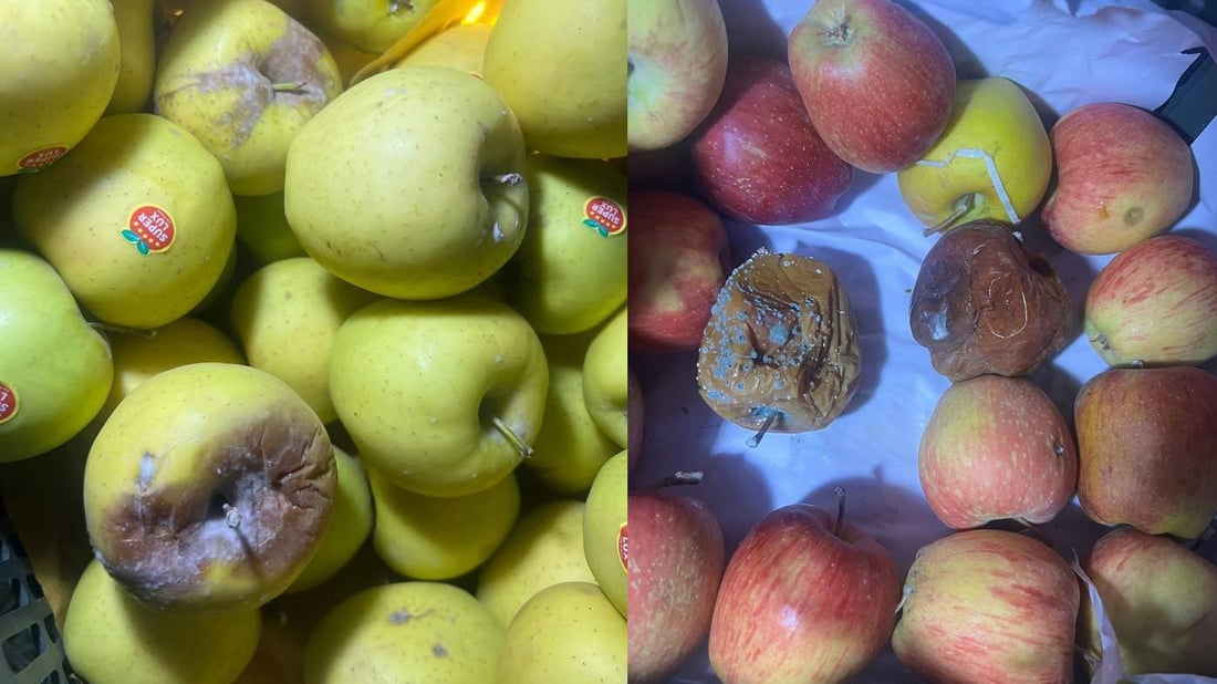 لە دەروازەی کێلێ 10 تۆن سێوی خراپبوو دەستى بەسەرداگیرا