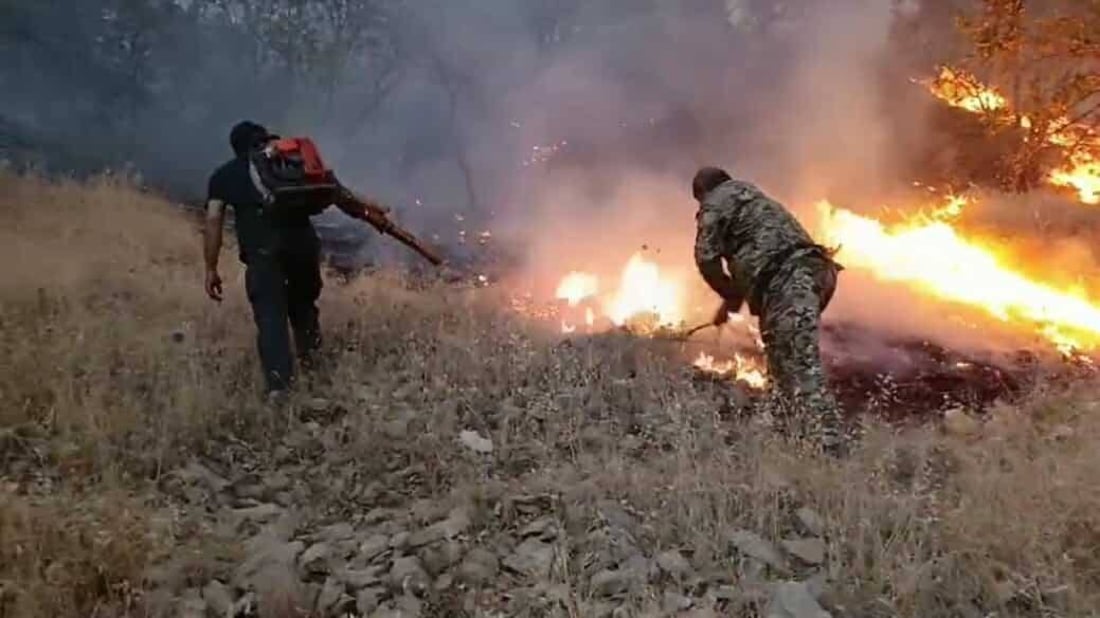 نزیکەی 600 دۆنم زەوی و دارستان لە گاپێڵۆن سووتا