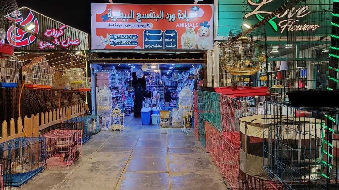 من مركز زيونة.. القطط للبنات والموظفين.. والكلاب للشباب المتفرغين