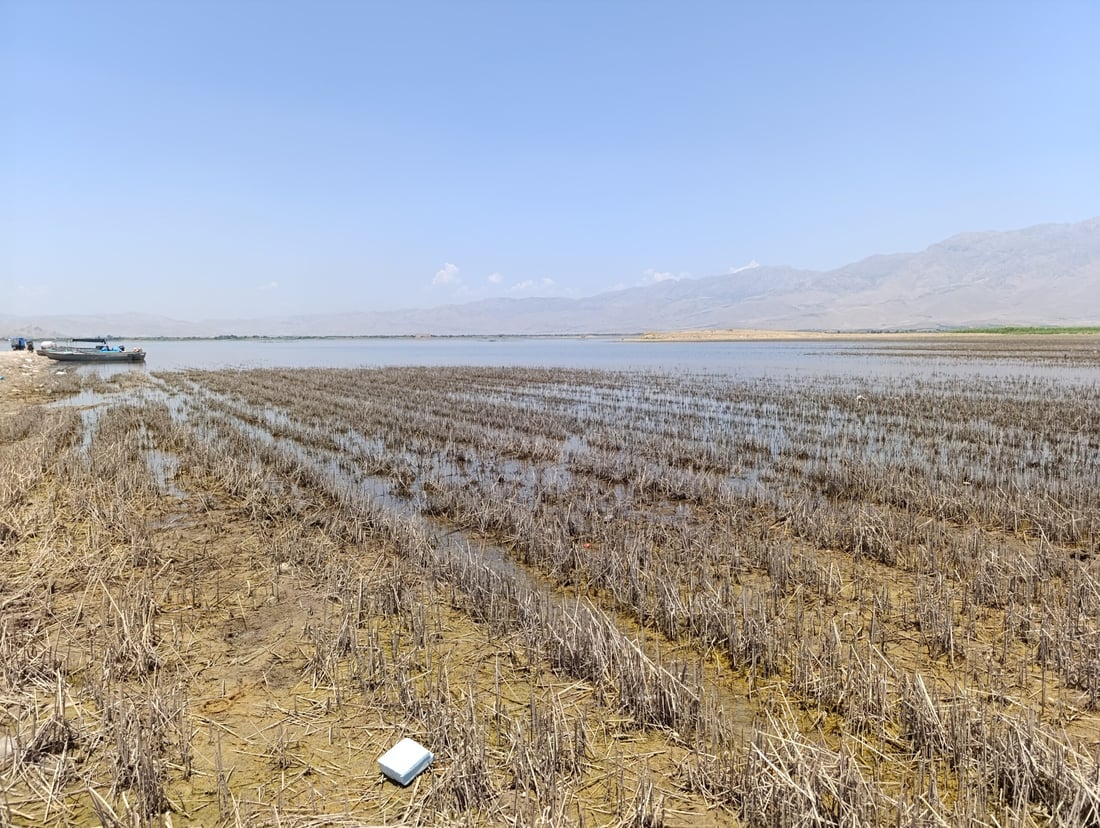 ئه‌مساڵ به‌ته‌ماى شووتى و خه‌یارى به‌حره‌كه‌ مه‌بن