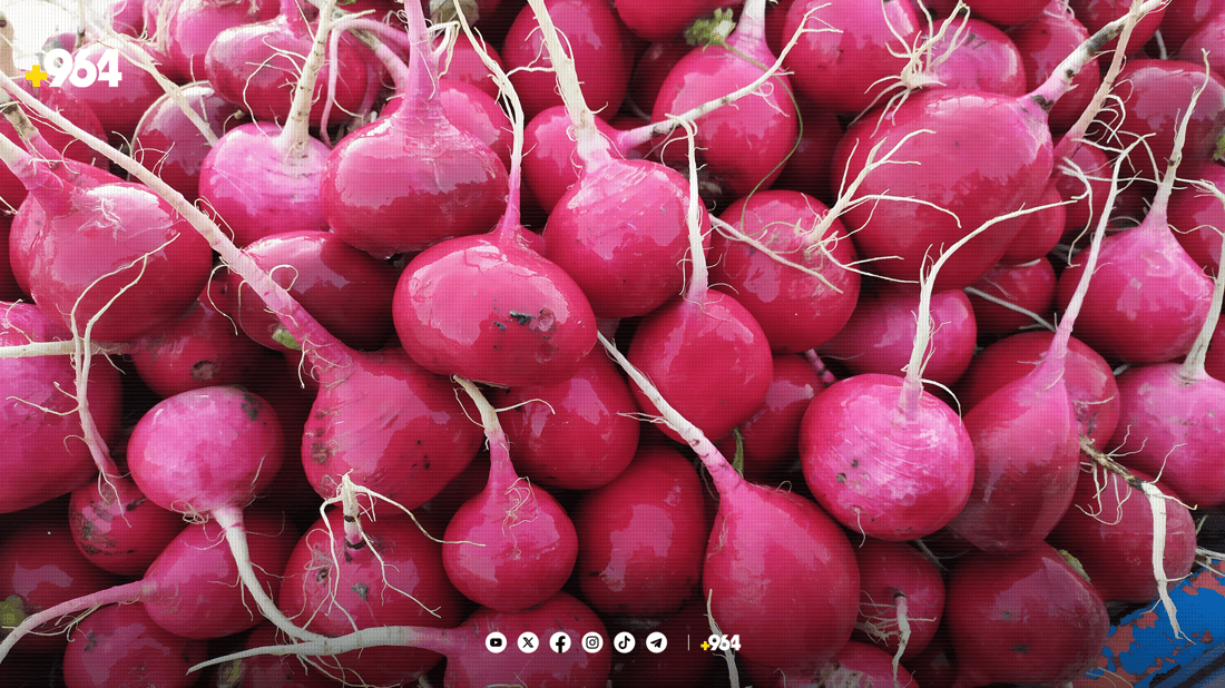 ناوبانگی “تور”ی قەڵبەزە بازاڕی تەنیوە