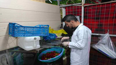 لە هەڵەبجە دەستبەسەر شیشی کەباب و پیاڵە و ژێرپیاڵەدا گیرا