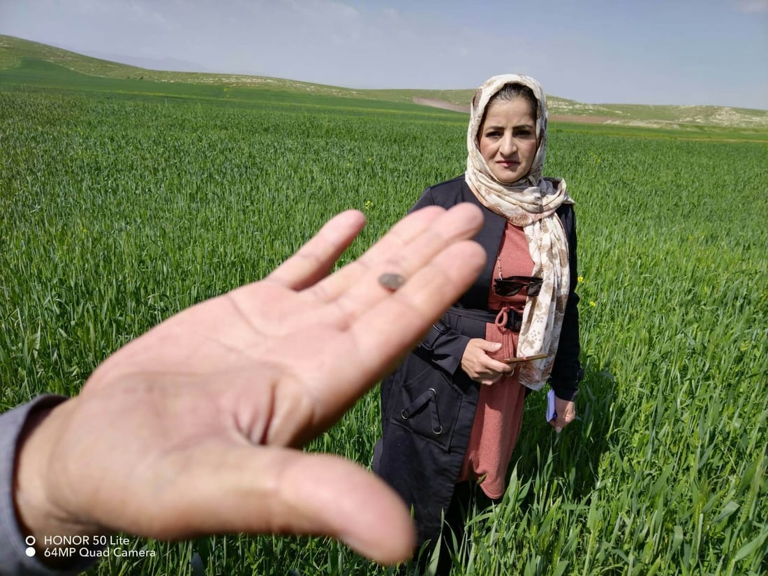 سن جوتیارانی بنگردی هەراسان کردووە