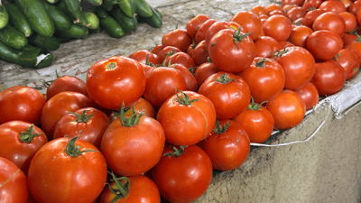 لە سلێمانی نرخی تەماتە داتەپی و پیازیش فڕی