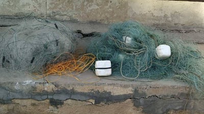 وەرزى قەدەغەى راوەماسى نییە؛ بەڵام دوو تۆڕى راوچیان دەستیان بەسەرداگیرا