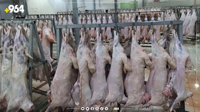 گەرمیان.. بە 8 رۆژ 4 هەزار ئاژەڵ سەربڕاوە