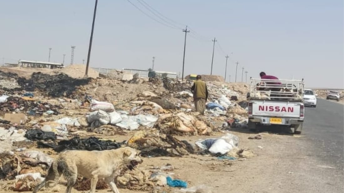 مەیدانی ئاژەڵان لە هەولێر پاککرایەوە