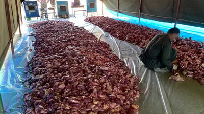 Begala residents distribute over five tons of meat