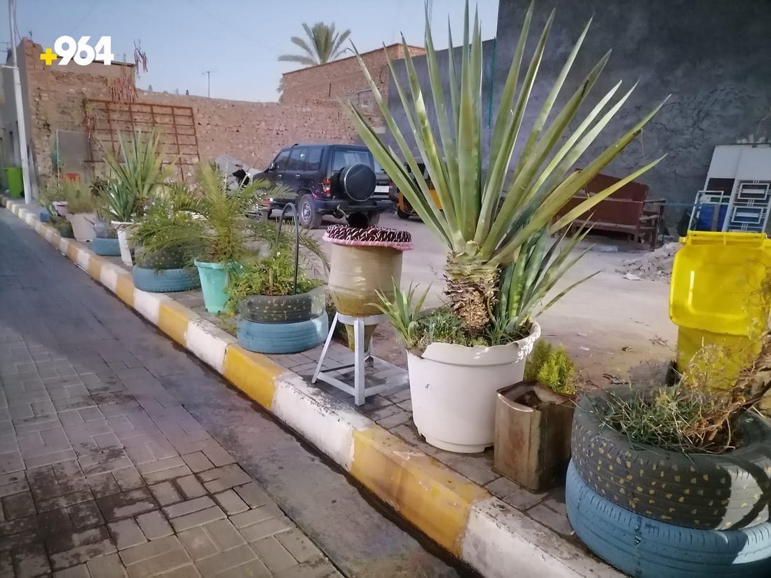 على كرسي متحرك.. ثلاثيني يزيّن شارعاً في هيت بالإنارة والمظلات والصبار (صور)