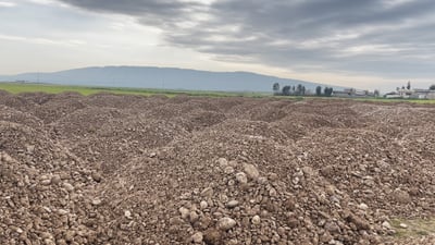 هەرکەس ژن بهێنێت زەوییەکی 250 مەتری بە دیاری وەردەگرێت