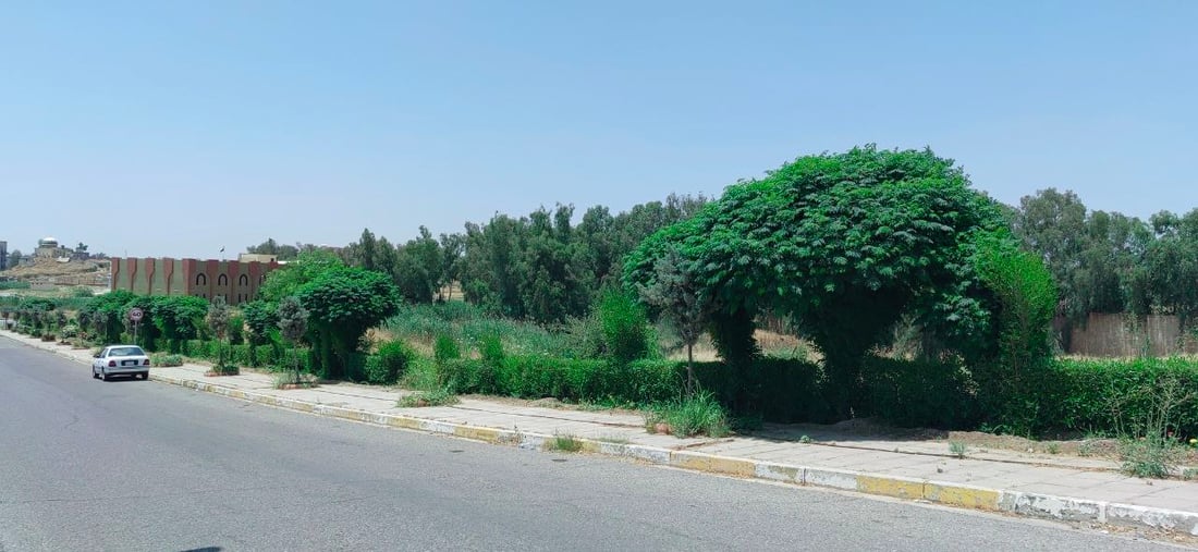 صور مدهشة من جامعة الموصل: “السبحبح” يكبر ويغطي الحدائق.. والسورية تتحمل تموز