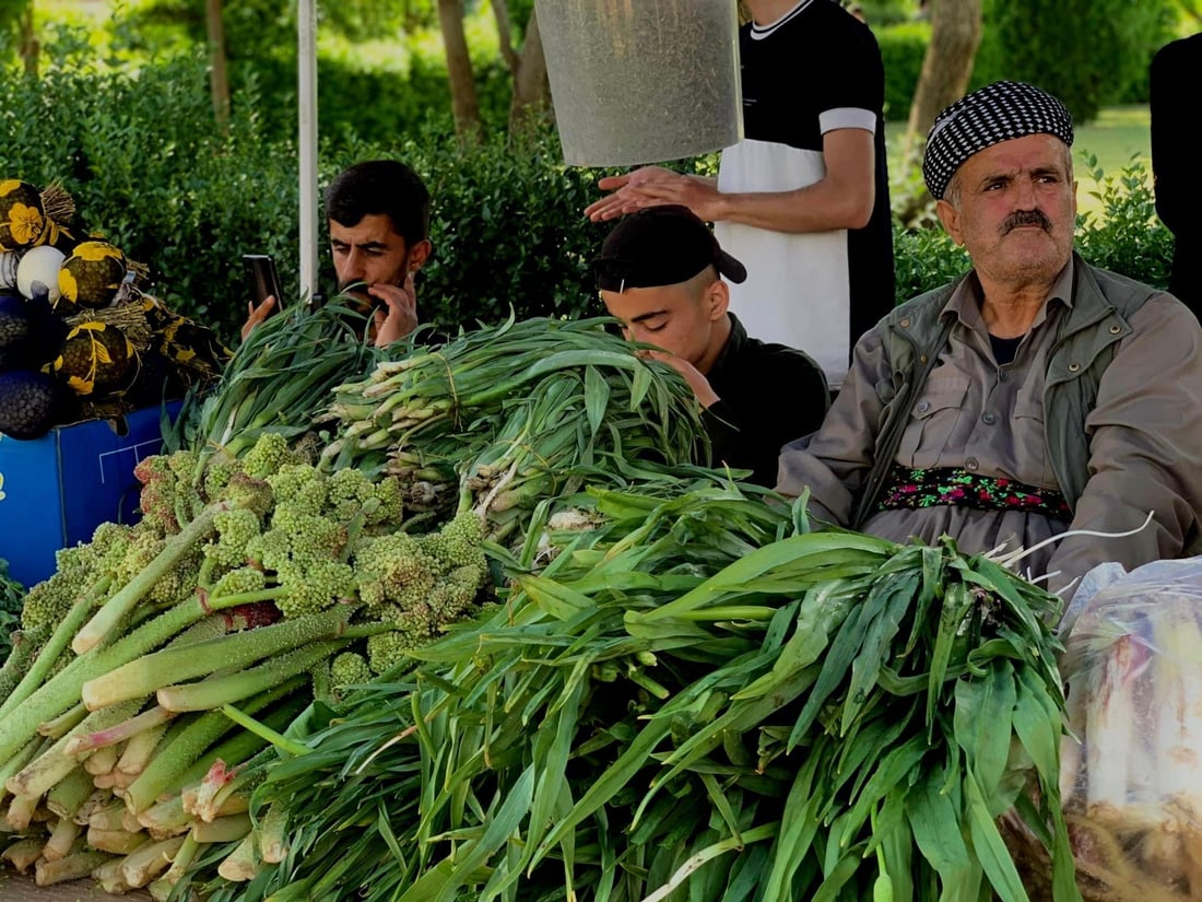 صور: سوران تستعرض أجمل نباتات الربيع في مهرجان شمال أربيل