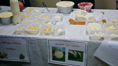 ماستی مەڕە کەڕە و مەڕە کۆرە لە فێستیڤاڵی خوێندکارانی پەیمانگای تەکنیکی