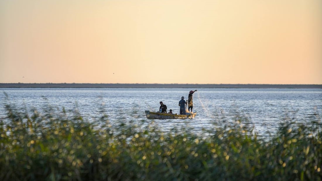 يا أهل كربلاء.. لا تسبحوا في الرزازة ولا تأكلوا أسماكها (صور)
