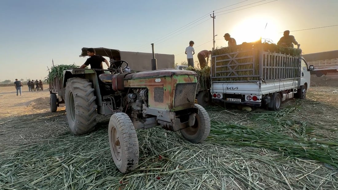 Vintage Antar 71 tractors still carry Diyala’s watermelons to market