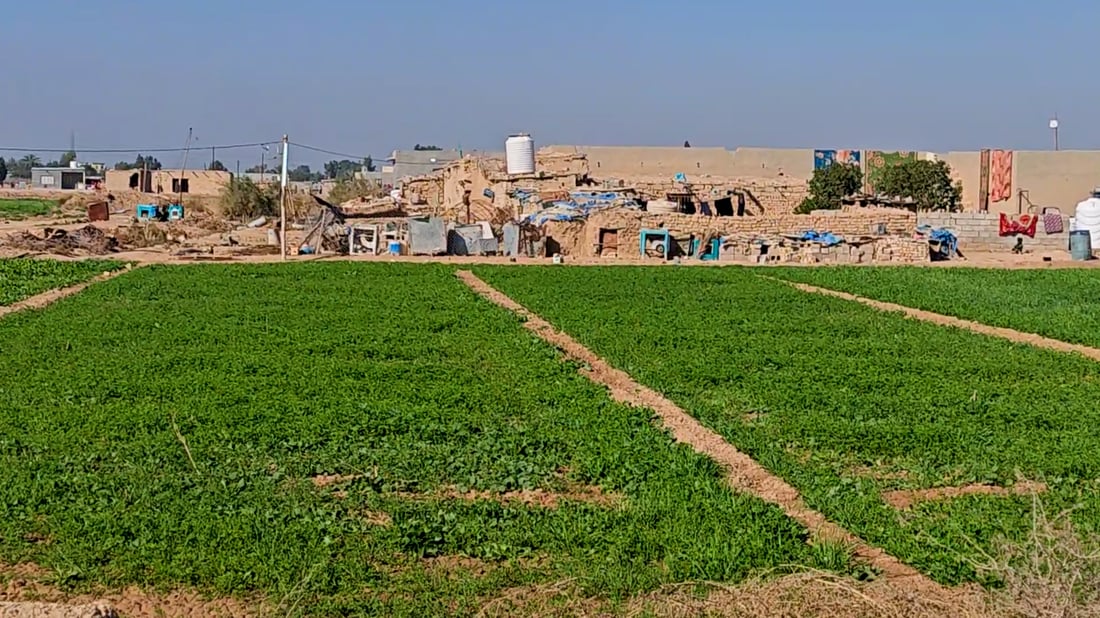 أوصلوا لنا الماء والمجاري فمنطقتنا كبرت.. صور من حي الفرسان البغدادي في النهروان