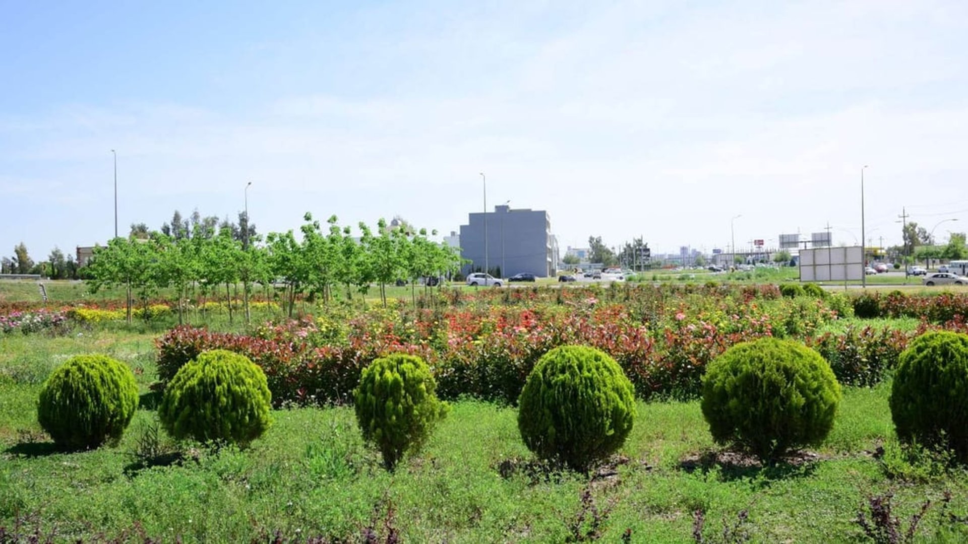 Over 126,000 trees planted in Erbil this year