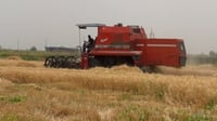 كاميرا 964 توثق حصاد الحنطة جنوب صلاح الدين وتنقل حواراً...