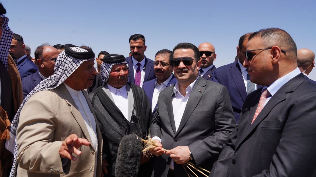 صور: السوداني يتفحص السنابل ويراقب الحصاد في إحدى مزارع واسط