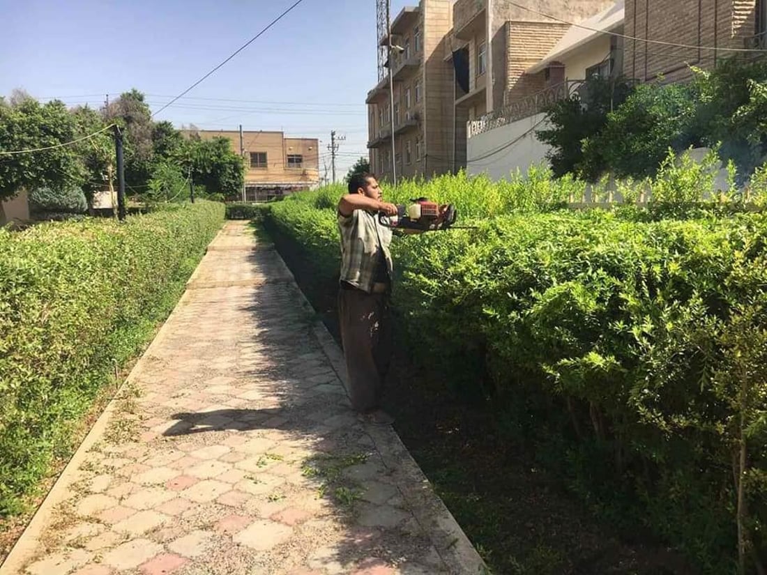 صور: أربيل تضع اللمسات الأخيرة على حملتها الكبرى لتقليم أشجار المدينة