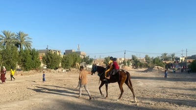 صور: خيول للإيجار ودراجات ودواليب تفرح أطفال الهاشمية في بابل