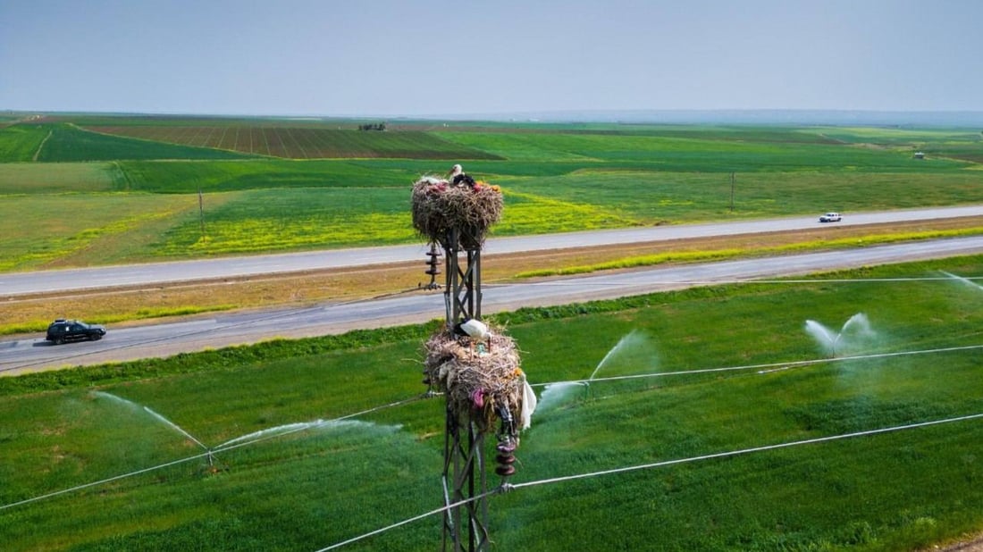 خانەقین گەرمترین و حاجی ئۆمەران فێنکترین شوێنی کوردستان بوون