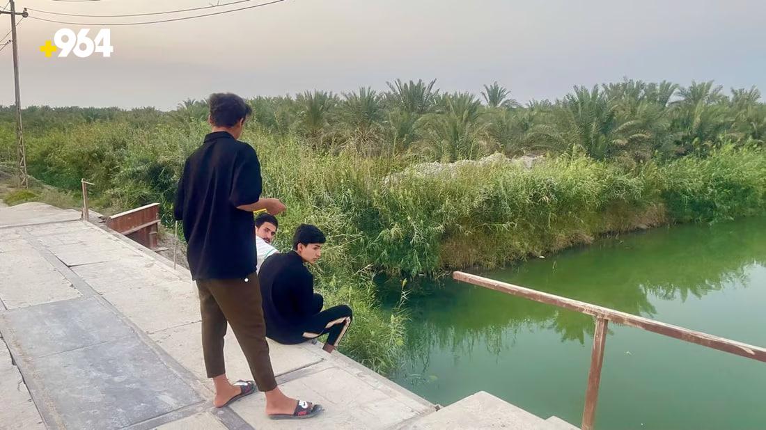 964mediaصورة من منصة (شبكة): 