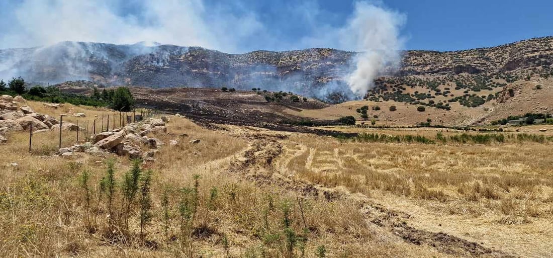 بە تۆمەتی سووتانی 60 هەزار دار هاوڵاتییەک دەستگیرکرا