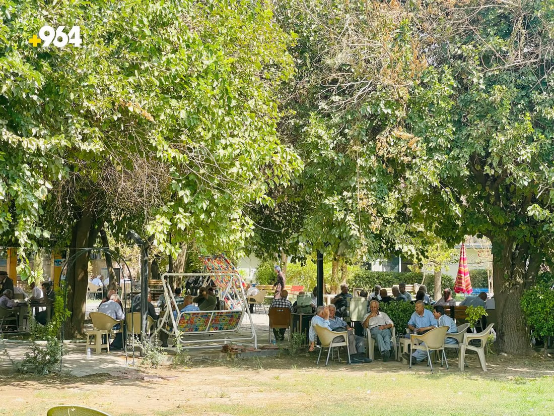 964mediaصورة من منصة (شبكة): 