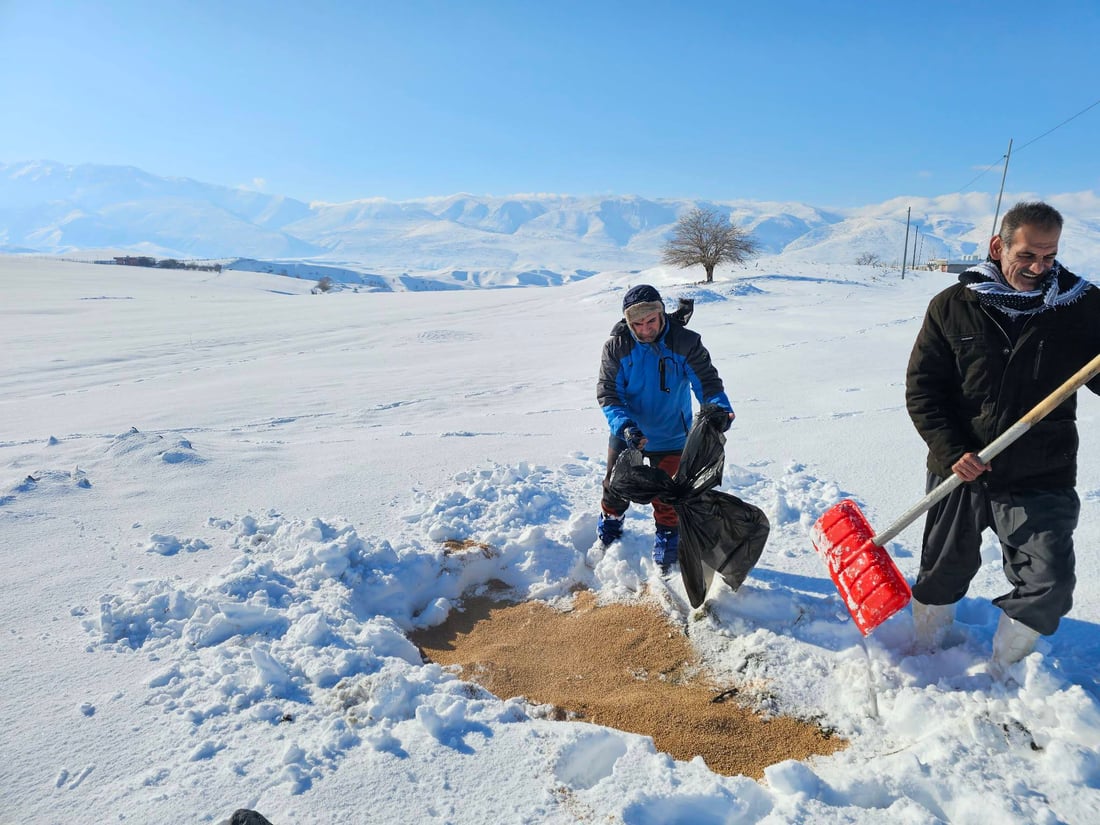 قەڵادزێ؛ سفرەیەکى پڕ لە خۆراک بۆ ئاژەڵ و باڵندەکان رادەخات