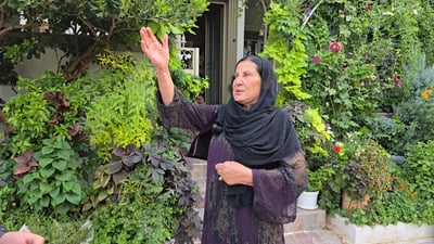 بيت السيدة عائشة يختفي خلف الأشجار ويستوقف المارة