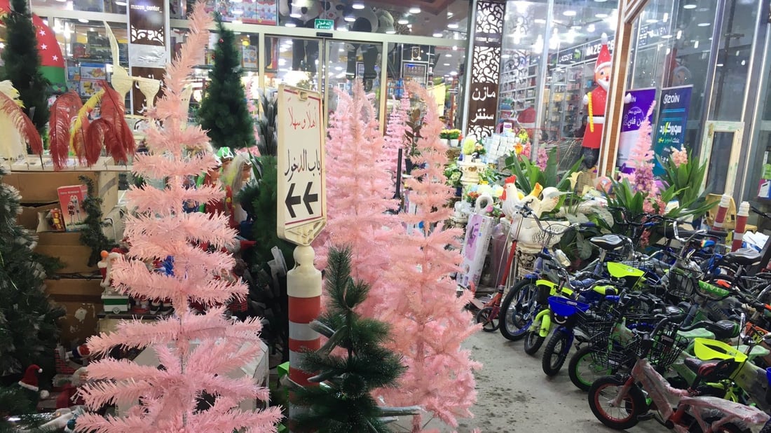 أبو الخصيب تحتفل مبكرا.. أشجار “كريسماس” تملأ الشوارع وأسعارها ترتفع (صور)