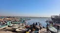 صور: لا زال الصبور شحيحاً في مزاد الفاو.. الحف والضلع تتصدران مبيعات النقعة