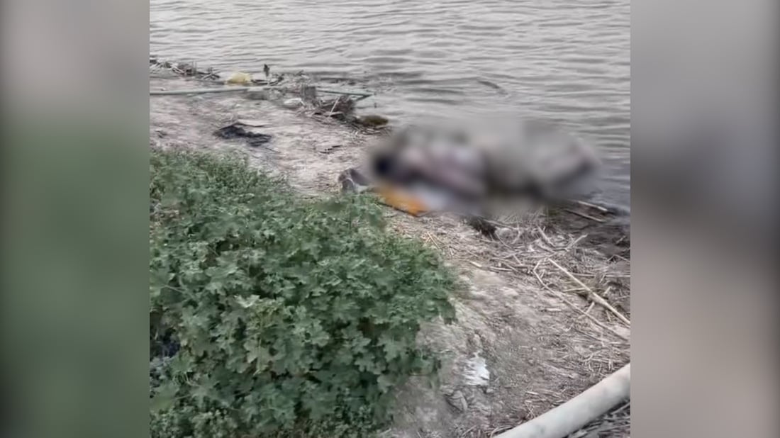 Teen drowns while swimming in Gharraf River