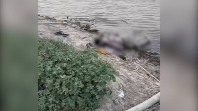 Teen drowns while swimming in Gharraf River