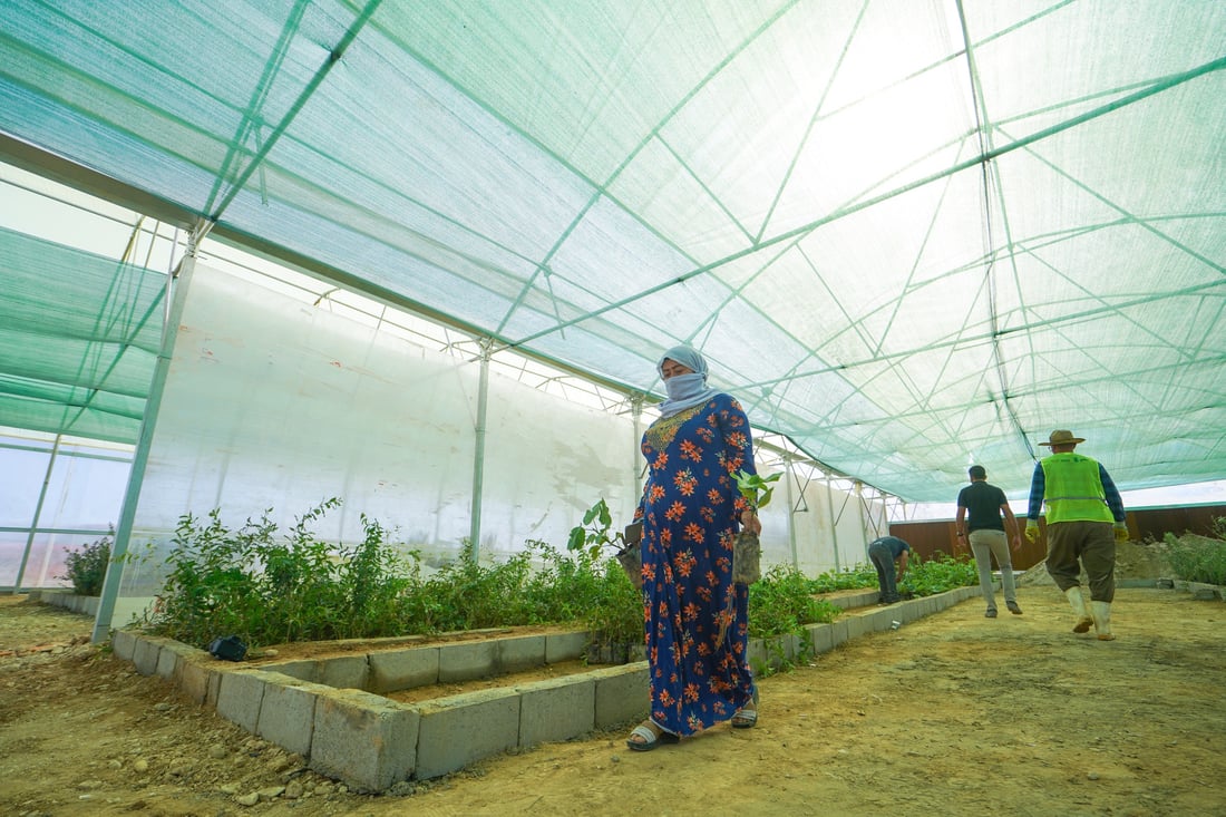 نەتەوە یەکگرتووەکان  10 هه‌زار نه‌مامى به‌سه‌ر 100 جوتیار دابه‌شكرد