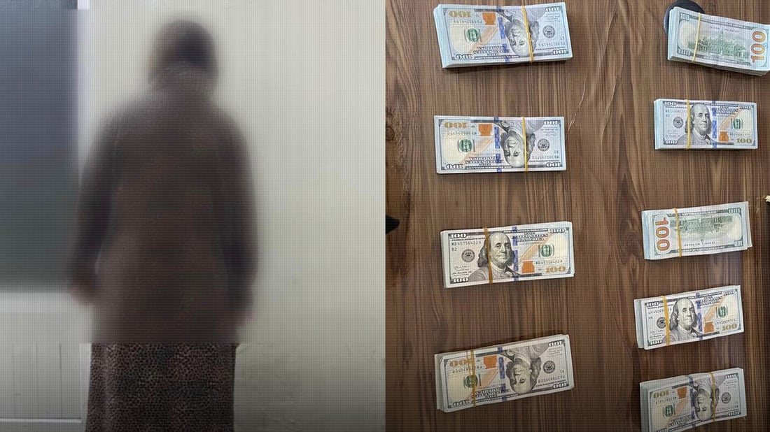 ژنێک دوای “دزینی” نۆ دەفتەر دۆلار دەستگیر کرا