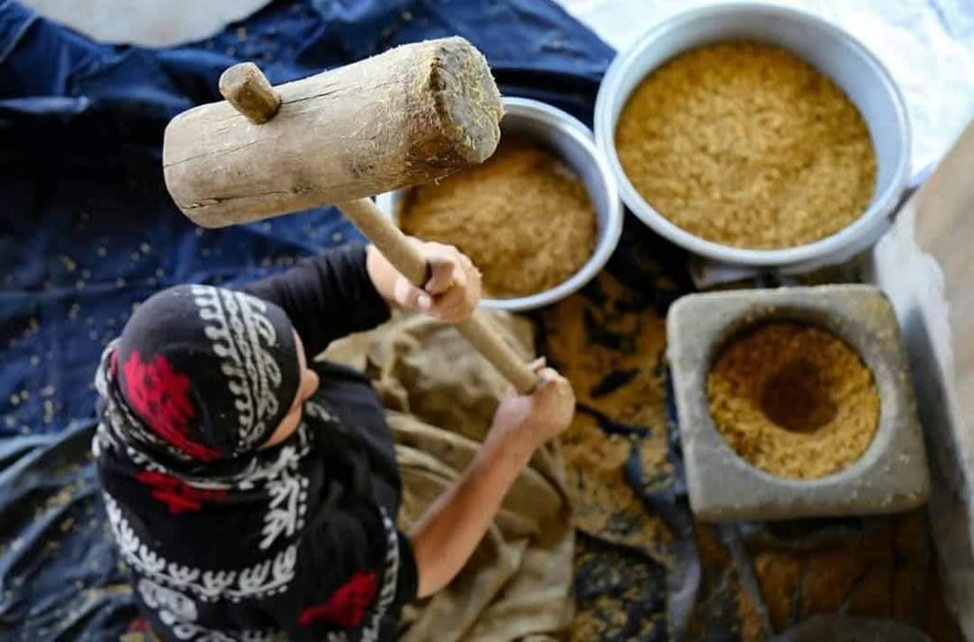 گەنم دوورایەوە و كاتی دانولەیە