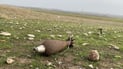 Teen killed by unexploded ordnance near Tuz Khurmatu