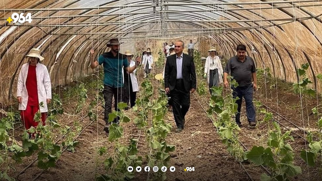 15 کچ بوونە خاوەن پرۆژەی کشتوکاڵی خۆیان