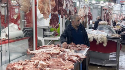 بەڕێوەبەرایەتی سامانی ئاژەڵ پێشبینی هەرزانبوونی گۆشت دەکات